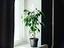 Immagine 24