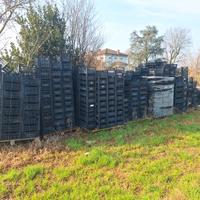 GRATIS: Cassette ortofrutta