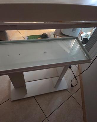 acquario ciano completo di tutto