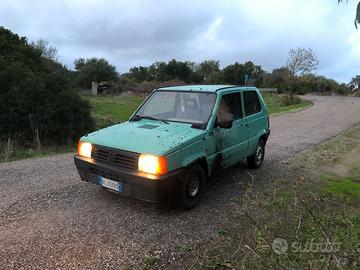 Fiat panda young