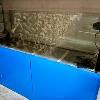 Acquario marino completo 550 litri