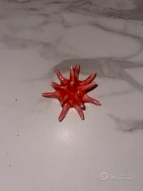 Riccio a calamita rosso