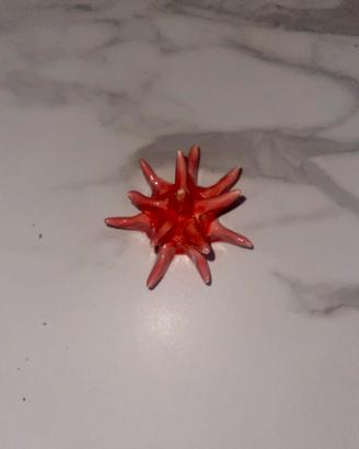 Riccio a calamita rosso