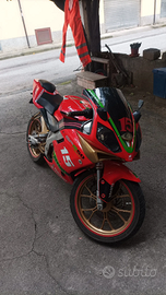 Derbi gpr 50