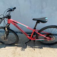 Bicicletta cannondale