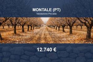Immobile in asta di 65990 m² a Montale