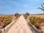 Immagine 28