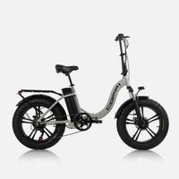 Bici elettrica fat Coppi