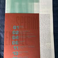 Progetto editoriale sperimentale graphic design