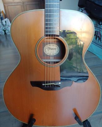 Takamine EN20