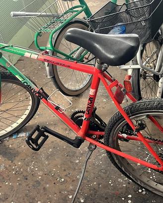 Biciclette montain bike