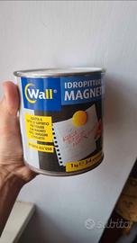 idropittura magnetica nera