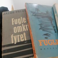 libri in lingua danese