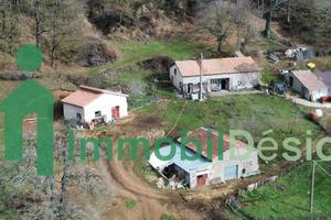 Proprietà a Picerno, Monte Li Foj