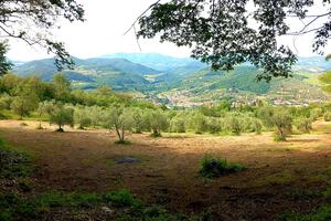 amanti della campagna