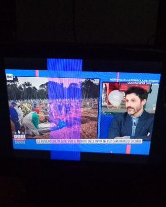 TV LCD THOMSON  26 pollici 26HR3022 x ricambi