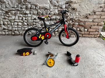 Bici Lombardo 14