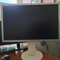 Pc  Monitor pc  22 NEC retroilluminazione a LED