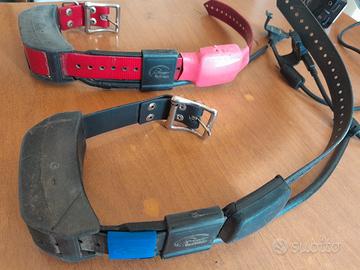 collari aggiuntivi tek 2 con frequenza americana