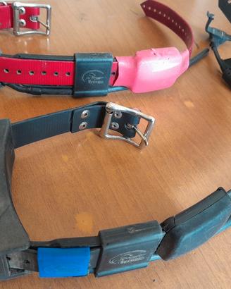 collari aggiuntivi tek 2 con frequenza americana