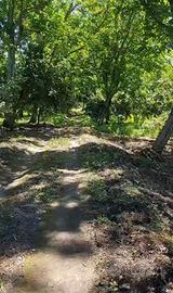 Terreno agricolo 8.000 mq - Cicciano (NA)