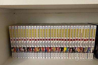 Manga My hero academia volumi 1 a 21