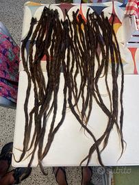 Dreadlocks