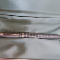 Parker stilografica, argento con pennino in oro