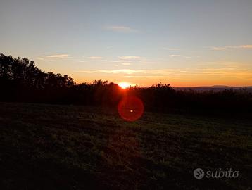 Terreno agricolo con casale