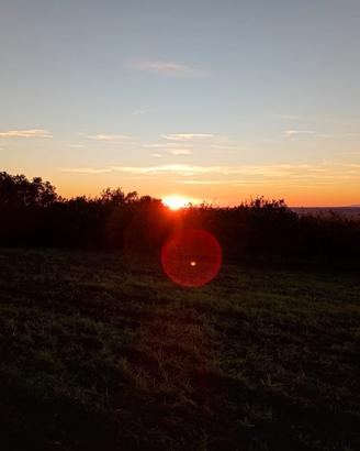 Terreno agricolo con casale