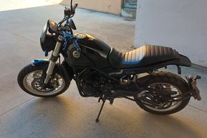 Benelli Leoncino Trail
