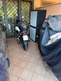 Moto Benelli 251 trk
