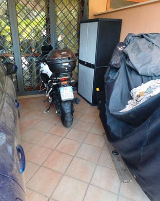 Moto Benelli 251 trk