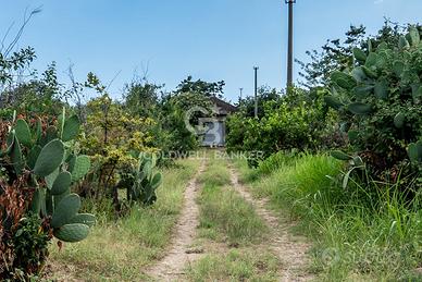 Terreno agricolo - Giarre
