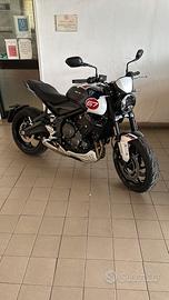 TRIUMPH TRIDENT 660 TRIPLE TRIBUTE