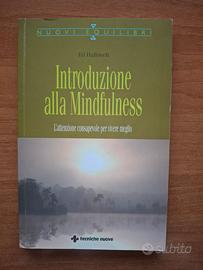Introduzione alla mindfulness - Ed Halliwell