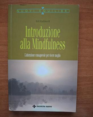 Introduzione alla mindfulness - Ed Halliwell