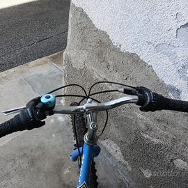 bicicletta ragazzo