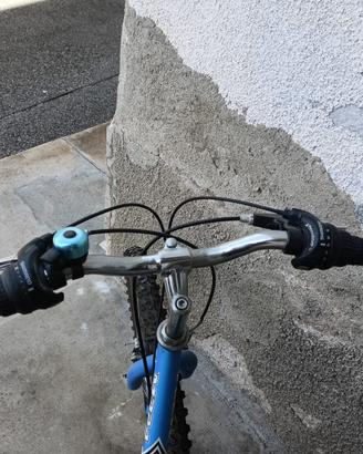 bicicletta ragazzo