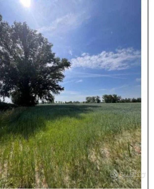 Immobile in asta di 7190 m² a Remedello - Altro