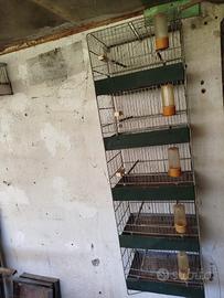 Gabbie per uccellini a colonna