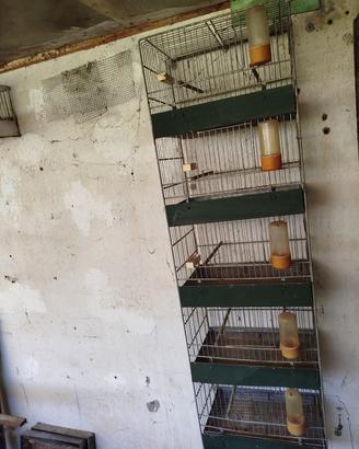 Gabbie per uccellini a colonna