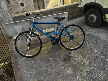 Bicicletta
