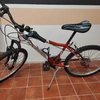 bicicletta MTB 24