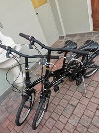 Biciclette pieghevoli 