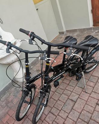 Biciclette pieghevoli 