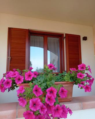 Casa Lavanda