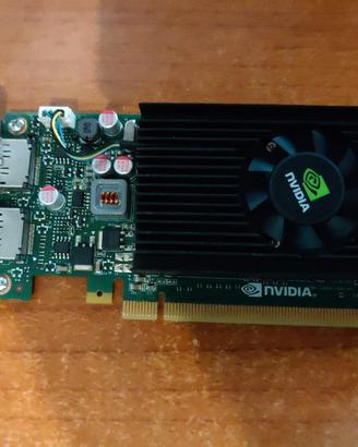 NVIDIA NVS 310
