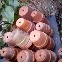 Vecchi Vasi Terracotta a  Savona