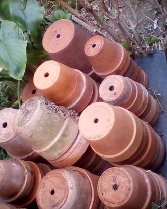Vecchi Vasi Terracotta a  Savona